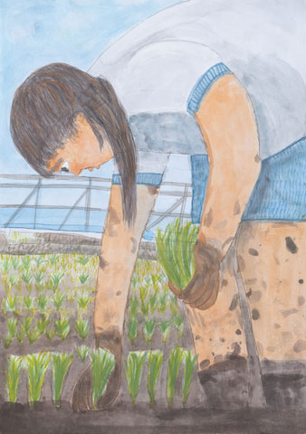 米の命を育む　田植え体験
