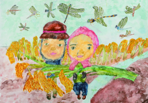 にいがたの　お米が　できたよ