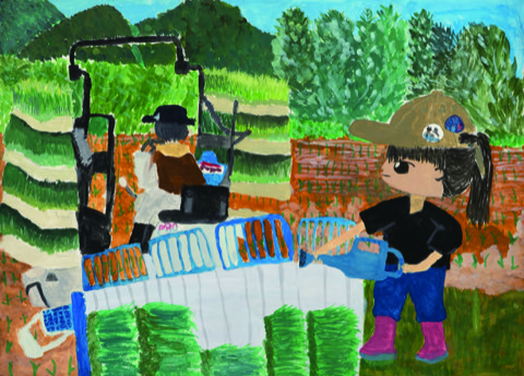 田植えの始まり