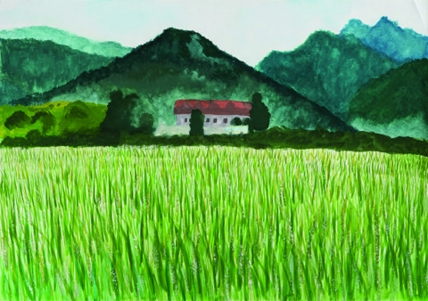 稲の花咲く里の夏